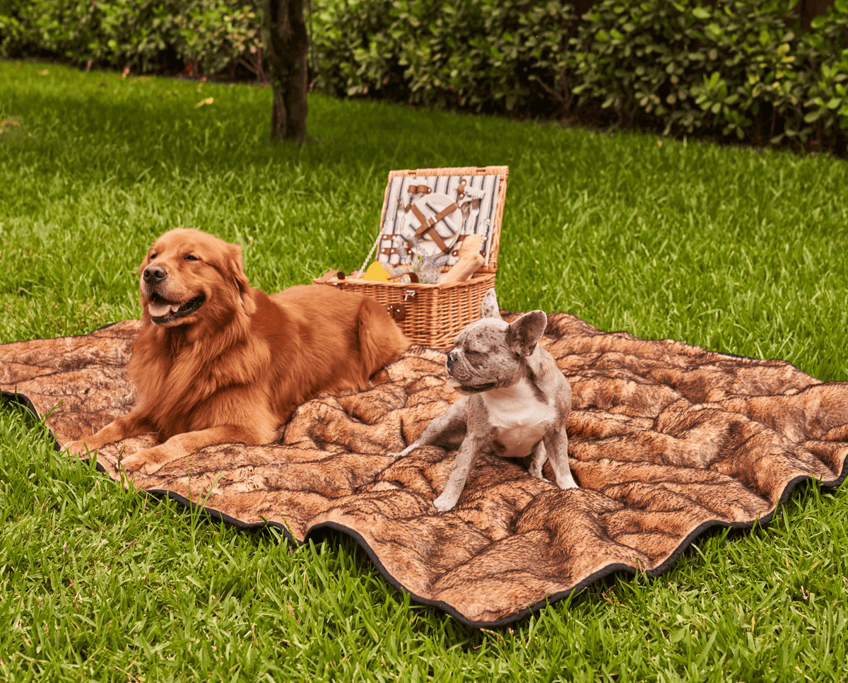 PupProtector™ sable tan waterproof short-fur throw blanket laid flat outdoors