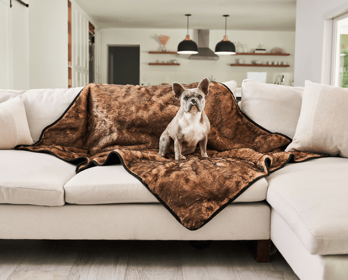 Sable tan waterproof pet blanket with dark edge on sofa with gray and white dog