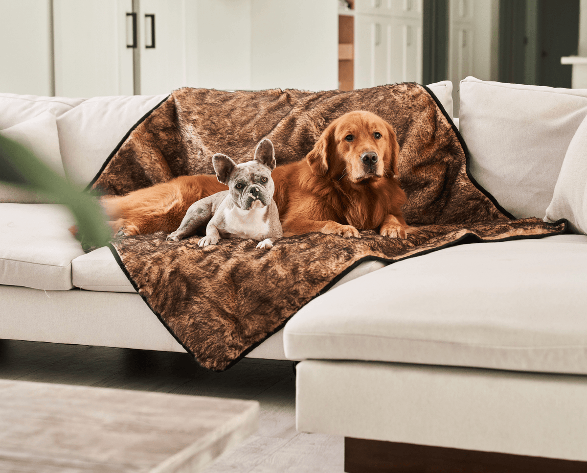 Sable tan waterproof pet throw blanket with dark edge, draped on a sofa with dogs