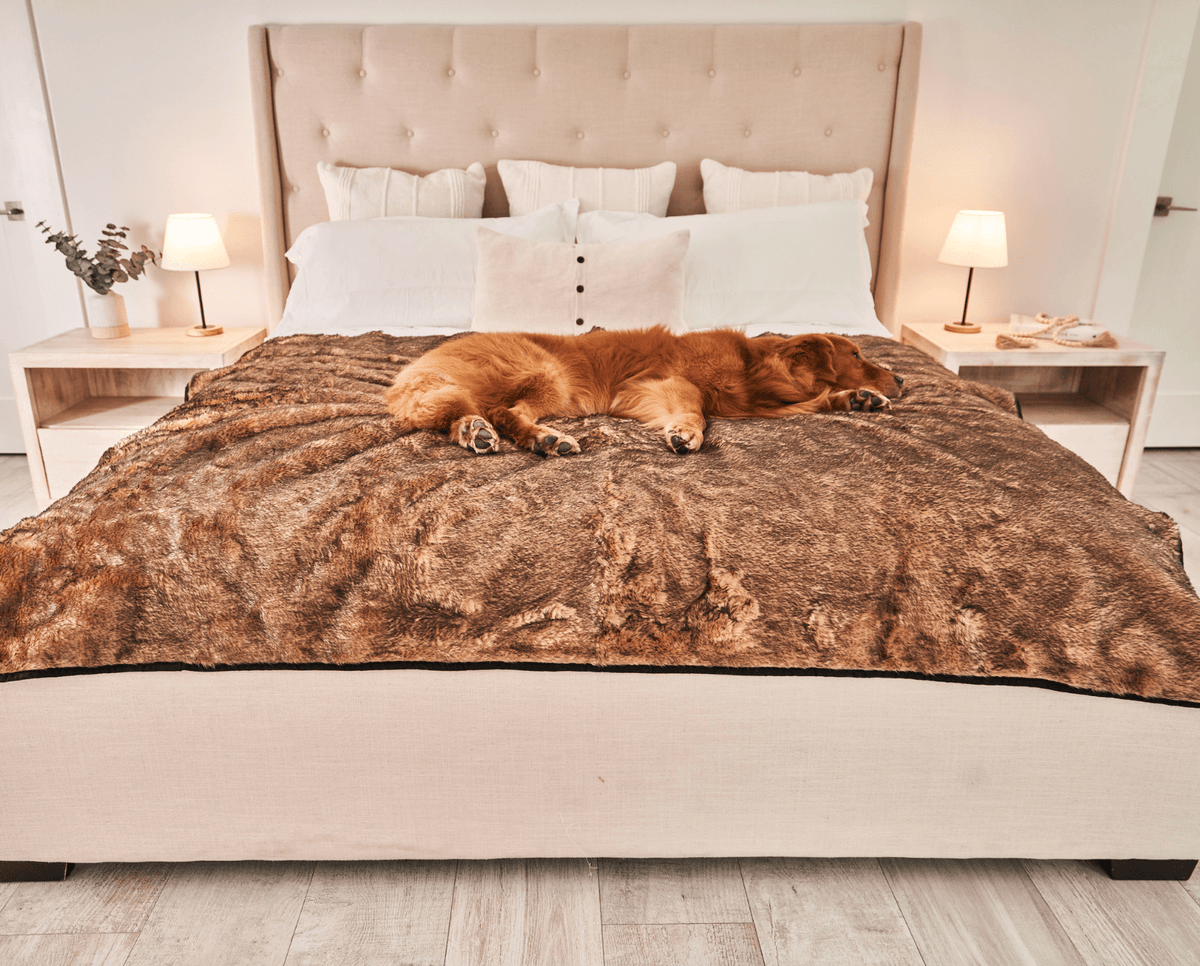 Sable tan waterproof pet blanket over bed with multiple dogs lying on top