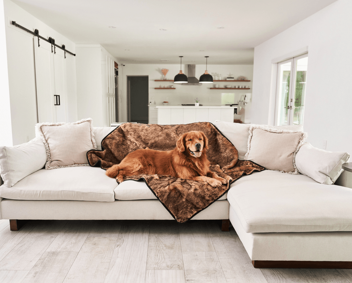 PupProtector™ sable tan waterproof throw blanket, short fur, folded on a couch