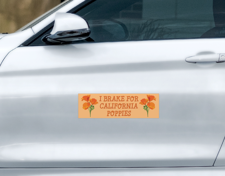 California Poppies Car Magnet