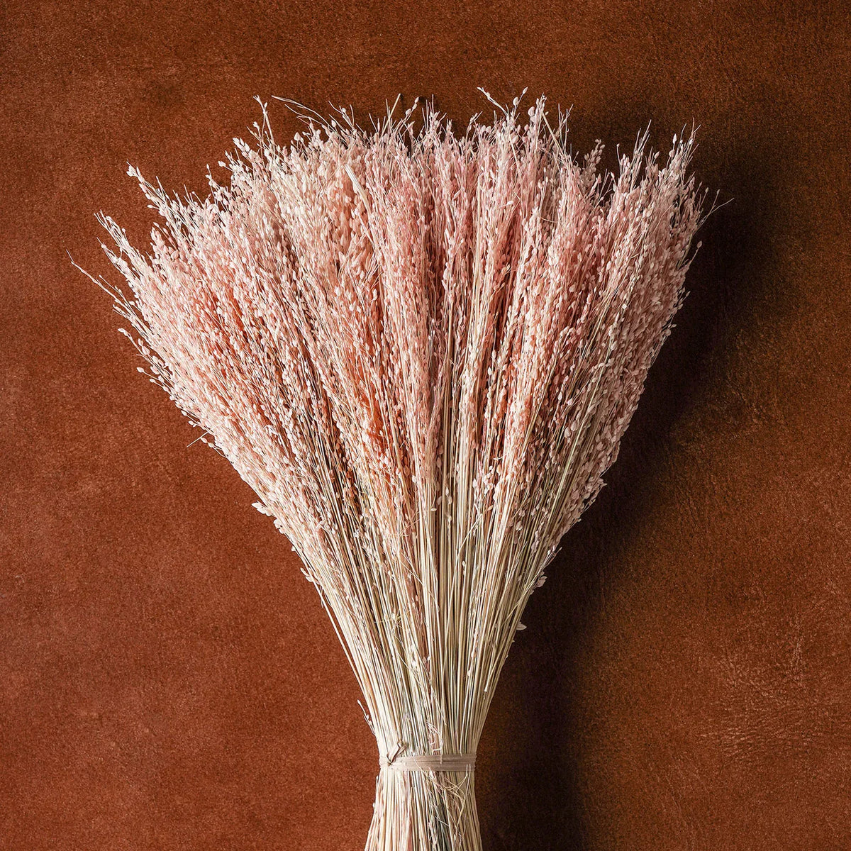 Dried floral and grasses bouquet with airy rose-pink stems tied with twine at base