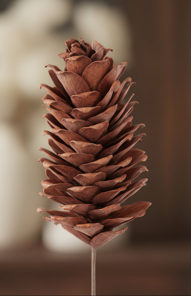 Larger brown pinecone pick with dense layered scales and a long stem