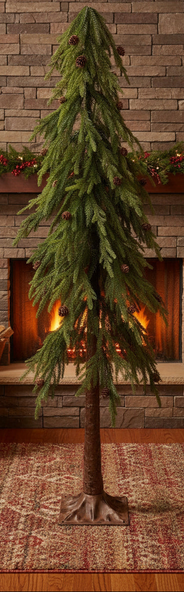 Ming pine tree with pinecones, full drooping branches, and a rustic trunk base
